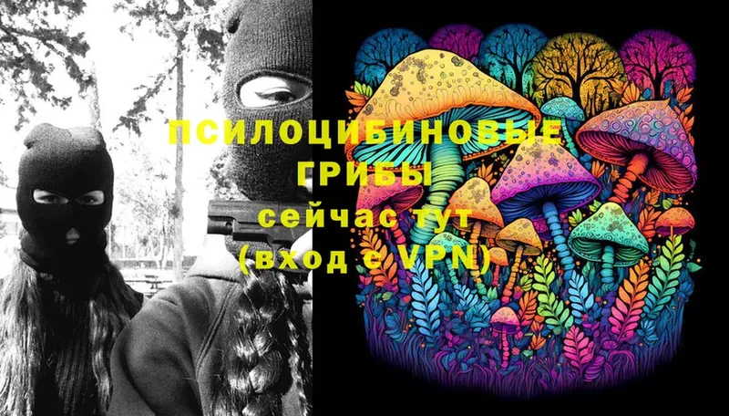 Псилоцибиновые грибы Magic Shrooms  Касли 